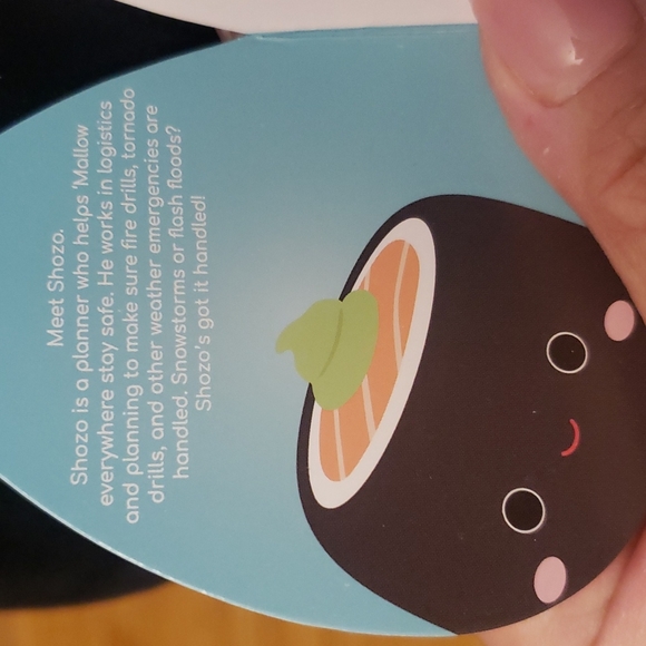 *Rare 8" Shozo Squishmallow - Picture 7 of 7